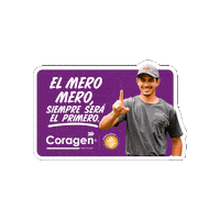 Coragen Sticker by FMC Agroquímica de México