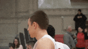 Msummbb GIF by MSUM Dragons