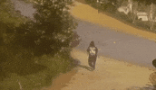 Fall Falling GIF