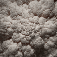 Viral Video Wtf GIF by Feliks Tomasz Konczakowski