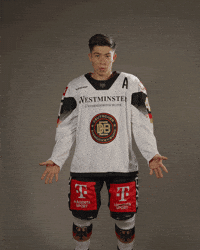 Hockey What GIF by deb_teams