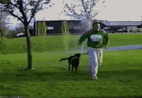 GIF by Demic