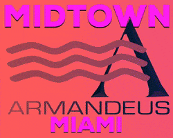 midtown miami GIF by Armandeus Beauty Salon