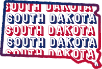 United States Usa GIF