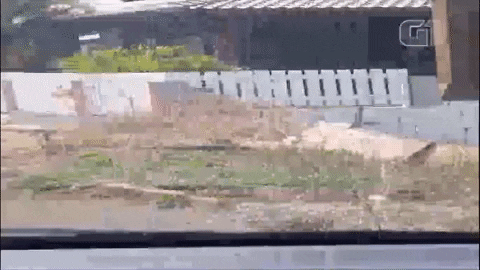 nsctotal giphygifmaker GIF