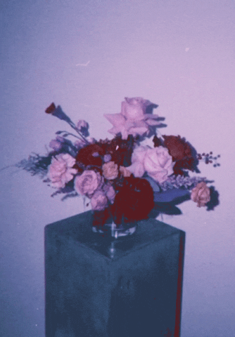 botan_flowers giphyupload GIF