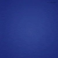 confused what the hell GIF by EnBW