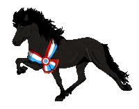 Horse Competition Sticker by Easyflix TV
