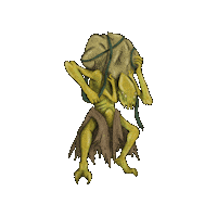 Conquista-Tcg Sticker