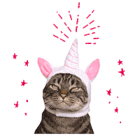 Cat Sticker