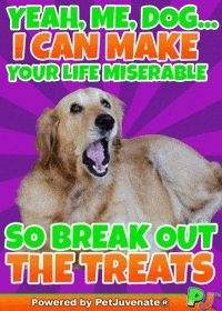 Henlo Hooman Fren GIF by PetJuvenate - PJ