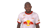 Red Bull Sport Sticker by FC Red Bull Salzburg