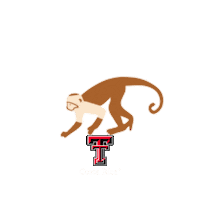 Studyabroad Sticker by Texas Tech Costa Rica University