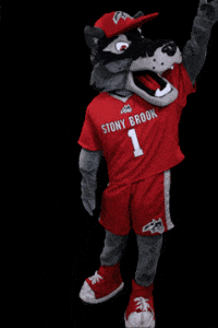 Waving Long Island GIF by Stony Brook University