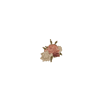 nervous youth Sticker by Shawn Mendes