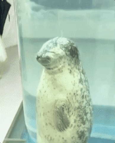 Friday Weekend GIF
