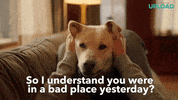 Upload GIF by Amazon Prime Video