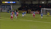 Celebration Goal GIF by Cliftonville Football Club