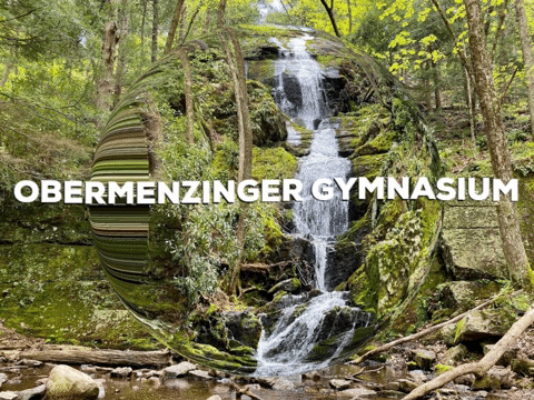 School Background GIF by PrivatschulenPORTAL.de