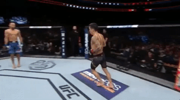 ufc 220 mma GIF by UFC