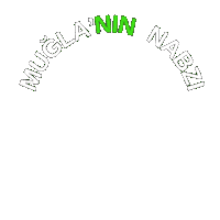 Nabzı Sticker by arcentumedya