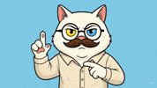 Angry Cat GIF by vankedisi