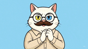Happy Cat GIF by vankedisi