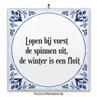 Winter Wijsheid GIF by Tegelspreuken.nl