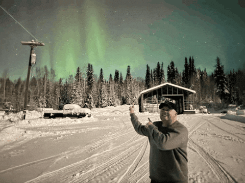 orionwillis giphygifmaker giphyattribution orion willis GIF