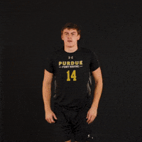 Fort Wayne Volleyball GIF by Purdue Fort Wayne Athletics