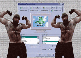 Gay Bear GIF by Database數據