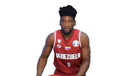 World Cup Sticker by FIBA