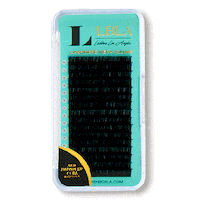 Rainbow Love Sticker by LashboxLA