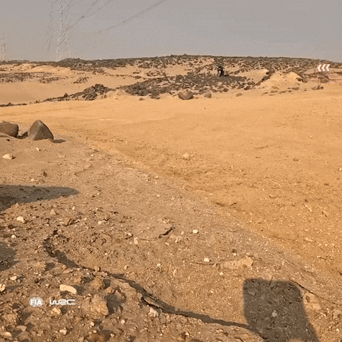 Racing Drifting GIF by FIA World Rally Championship