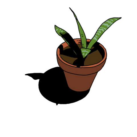 Loop Plant Sticker