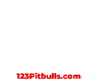 Red Nose Pitbull Sticker by 123 Pit Bulls
