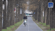 Bike Win GIF by Vélib'