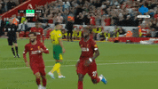 Happy Celebration GIF by MolaTV