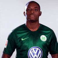 french football GIF by VfL Wolfsburg