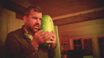 Watermelon Drum GIF by Dr. Dog