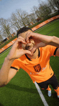 Ing Gakpo GIF by INGNederland