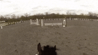 Girl Wearing Helmet Cam Encourages Horse During Co