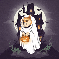 Shiba Inu Dog GIF by Doge Pound