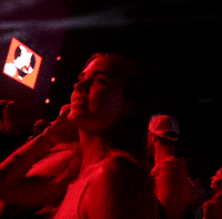 DucatiMotor bike race moto motogp GIF