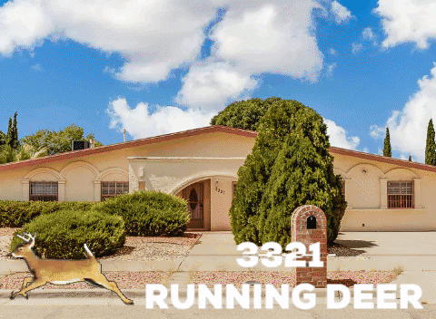 brianburdsteam giphygifmaker giphyattribution GIF