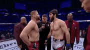 Face Off Sport GIF by UFC