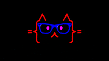 cool cat nerd GIF by English For IT