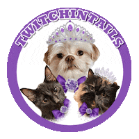 Cats Puppy Sticker by Pimp Yo Pets