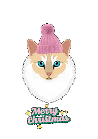 Cat Dog Sticker by Melina Bucher