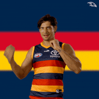 Afl Yes GIF by Adelaide Crows
